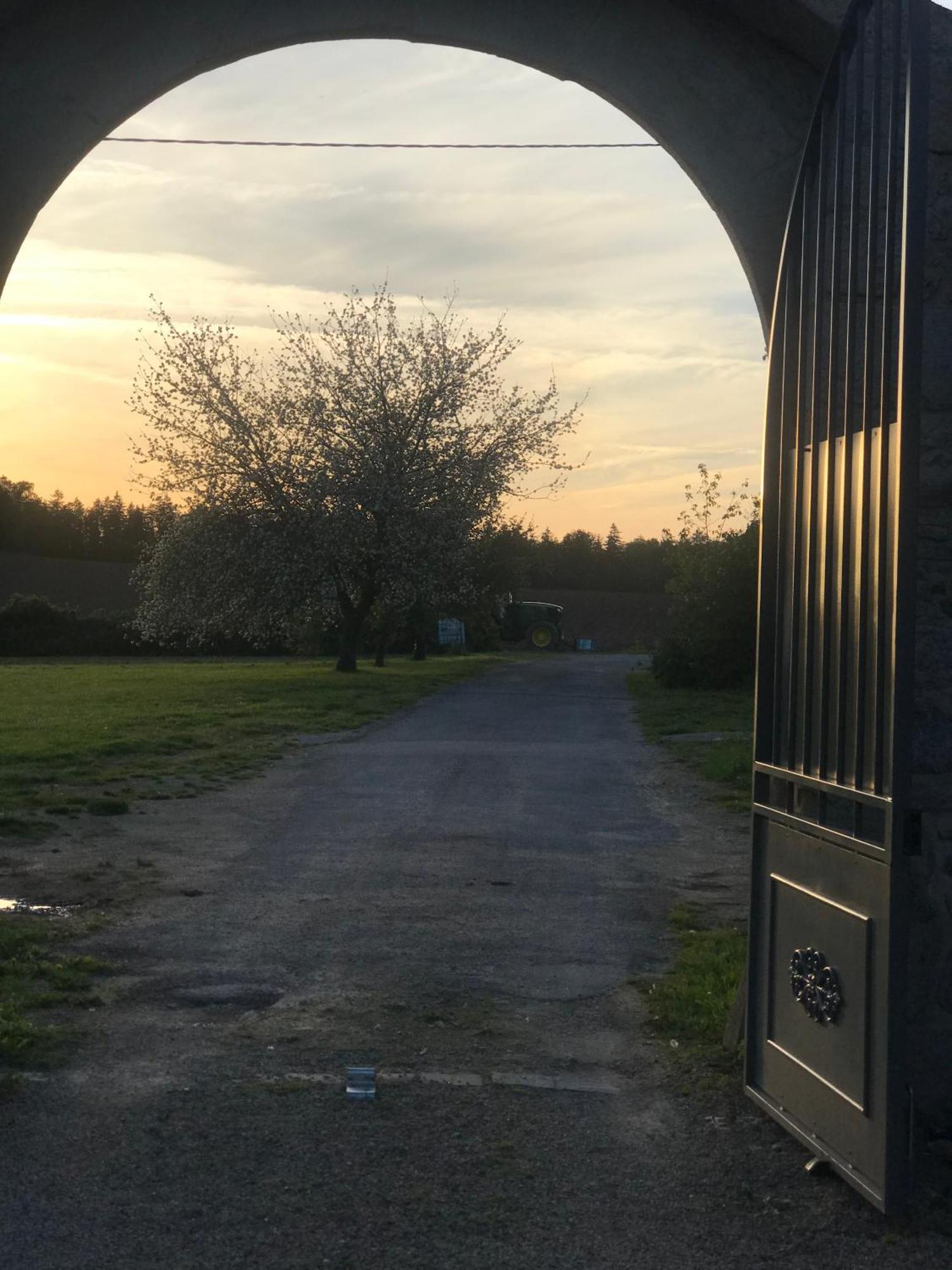 Manoir Saint-Andre,B&B De Charme Theix Bagian luar foto