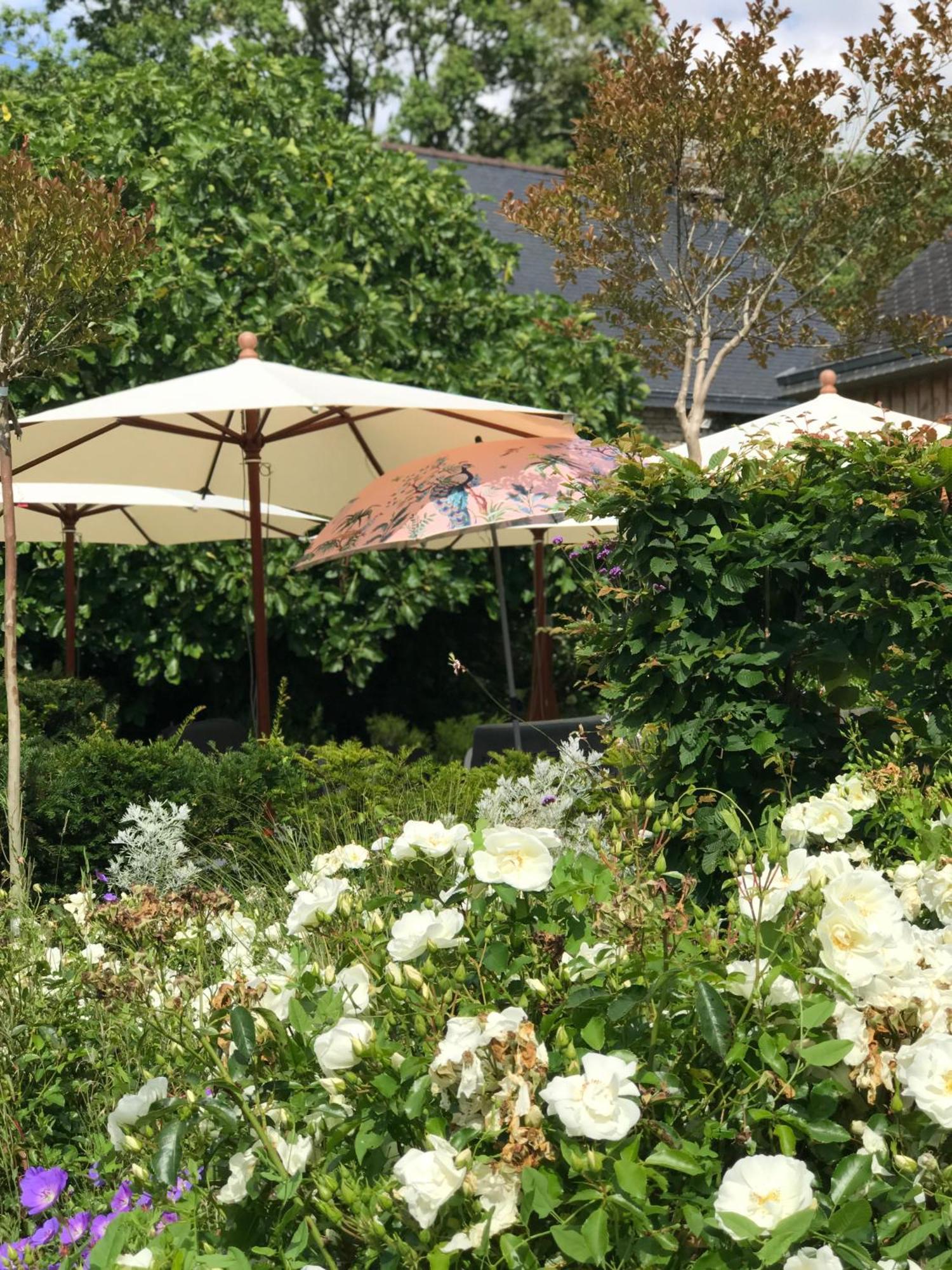 Manoir Saint-Andre,B&B De Charme Theix Bagian luar foto