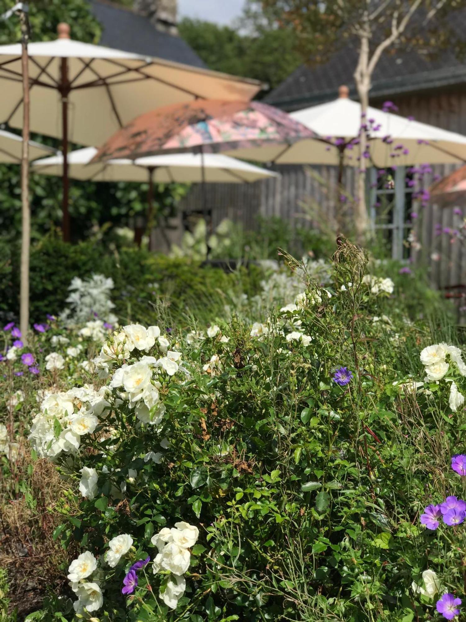Manoir Saint-Andre,B&B De Charme Theix Bagian luar foto